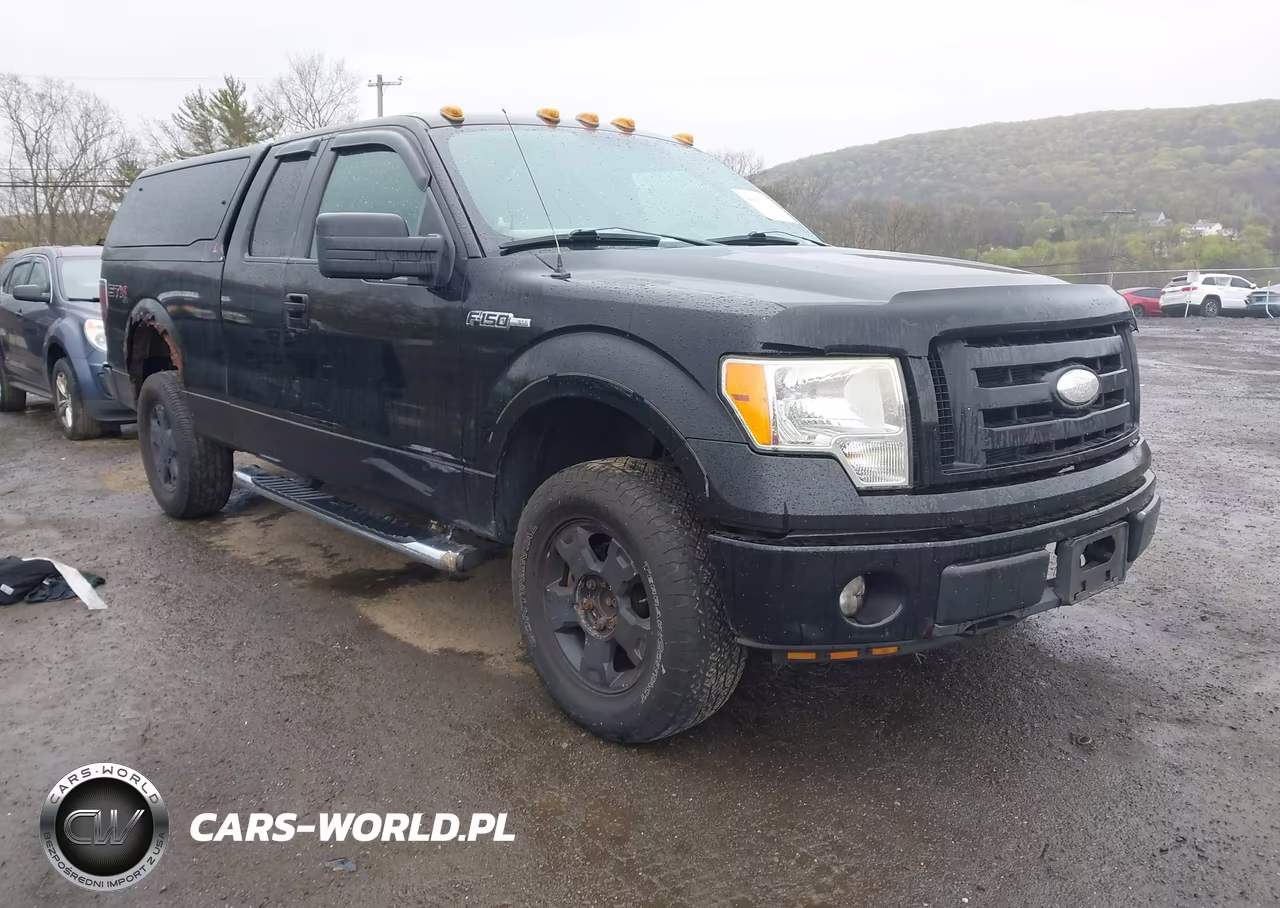 2009 Ford F-150 Stx-Xl