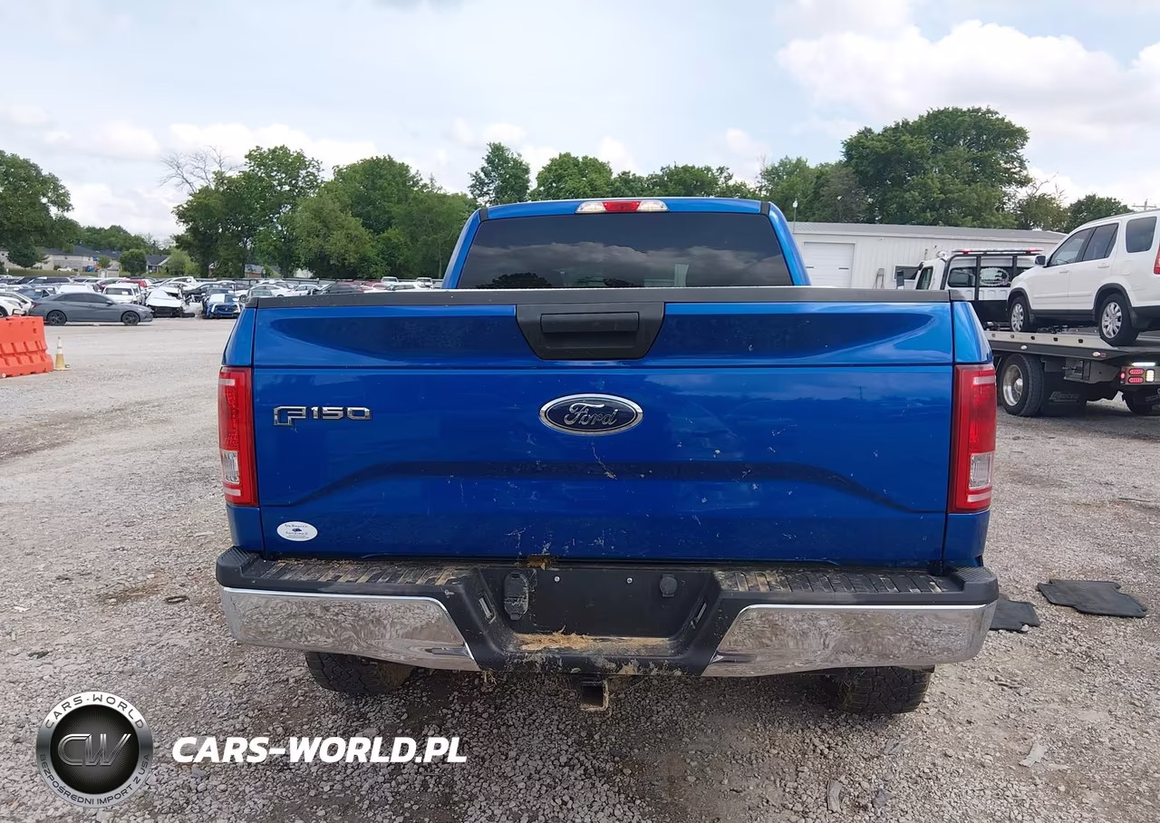 2016 Ford F-150 Xlt VIN:1FTEX1EP3GFB68381 - 16