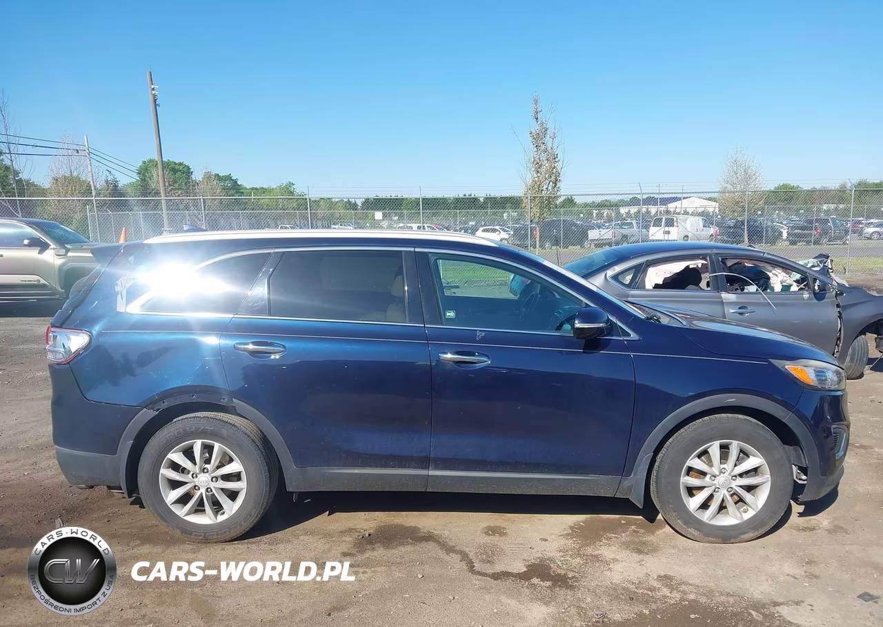 2017 Kia Sorento 2.4L Lx VIN:5XYPGDA33HG336600 - 13