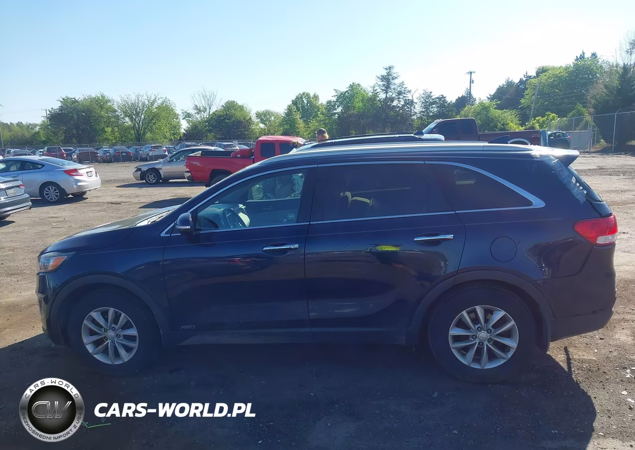 2017 Kia Sorento 2.4L Lx VIN:5XYPGDA33HG336600 - 14