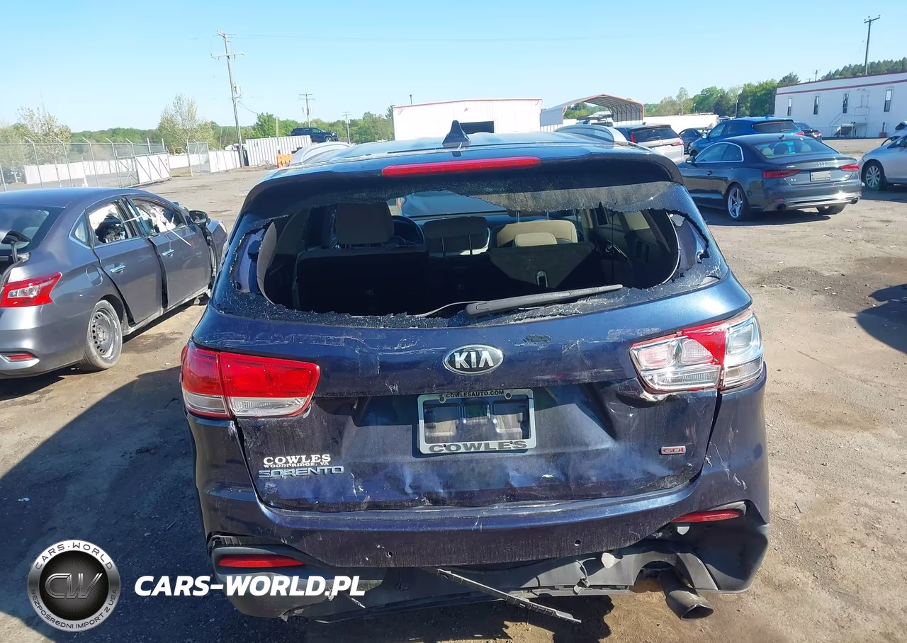 2017 Kia Sorento 2.4L Lx VIN:5XYPGDA33HG336600 - 16