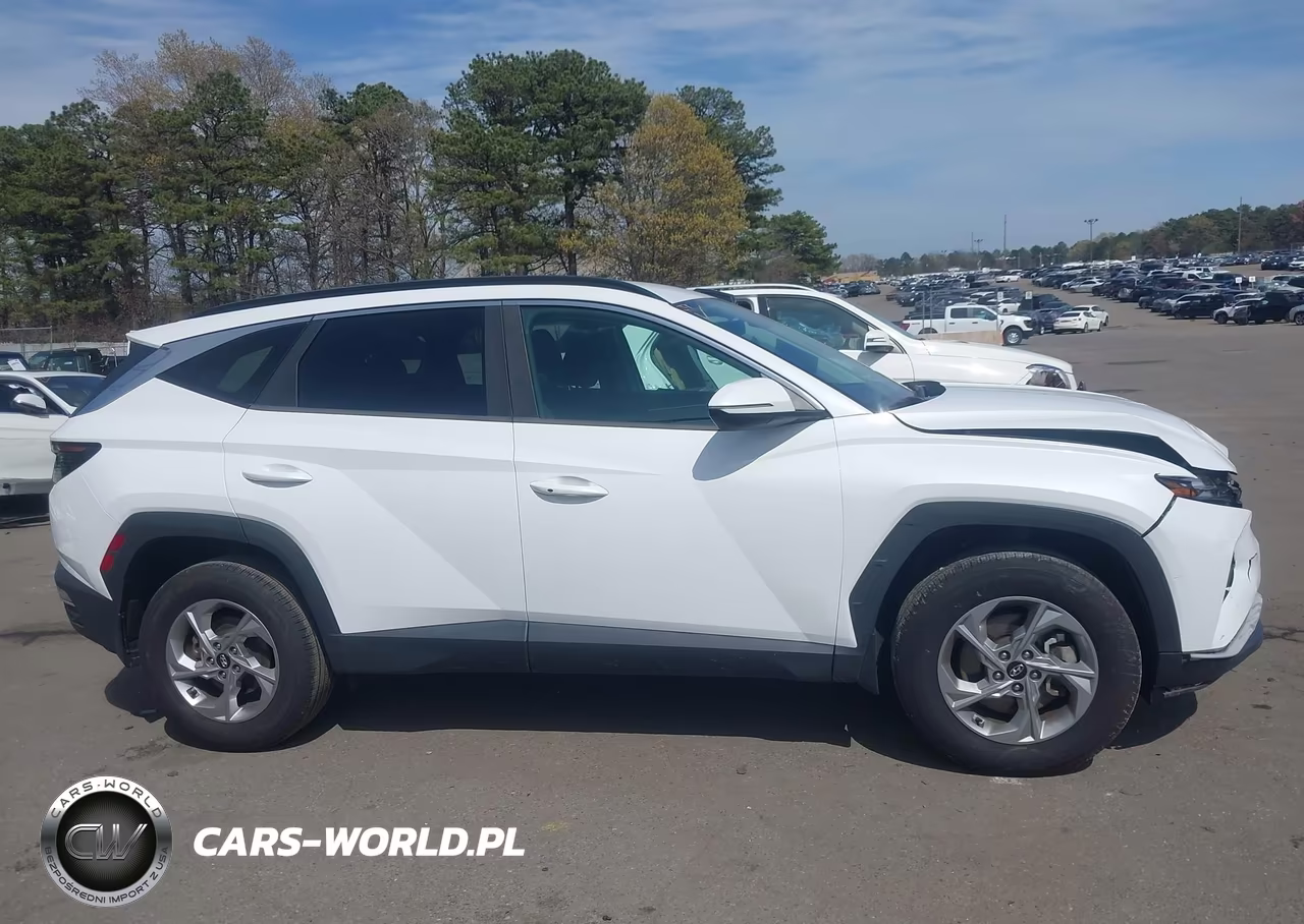 2022 Hyundai Tucson Sel VIN:5NMJBCAE1NH049631 - 13