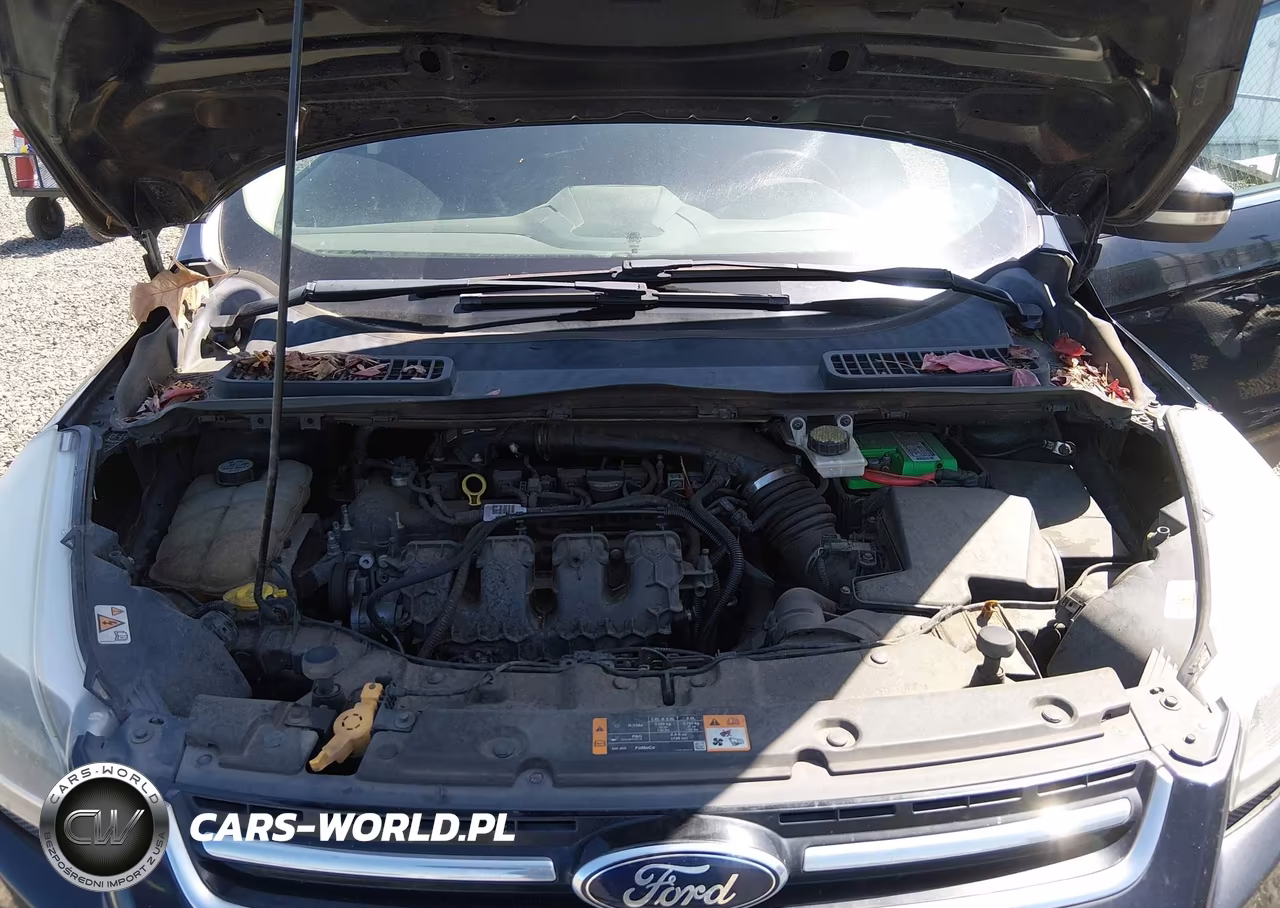 2013 Ford Escape Titanium VIN:1FMCU9J9XDUB44331 - 10