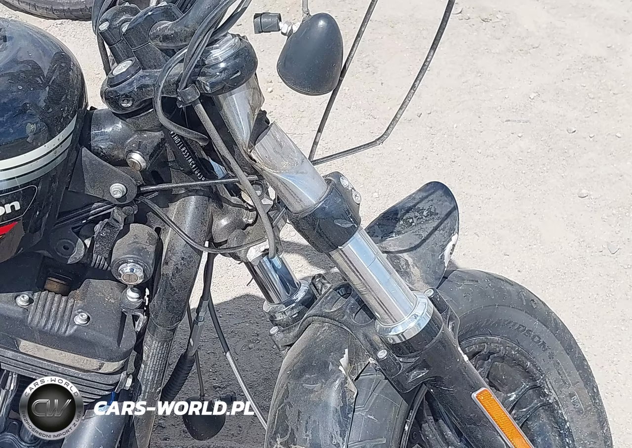 2019 Harley-Davidson Xl1200 Xs VIN:1HD1LR331KC410439 - 16