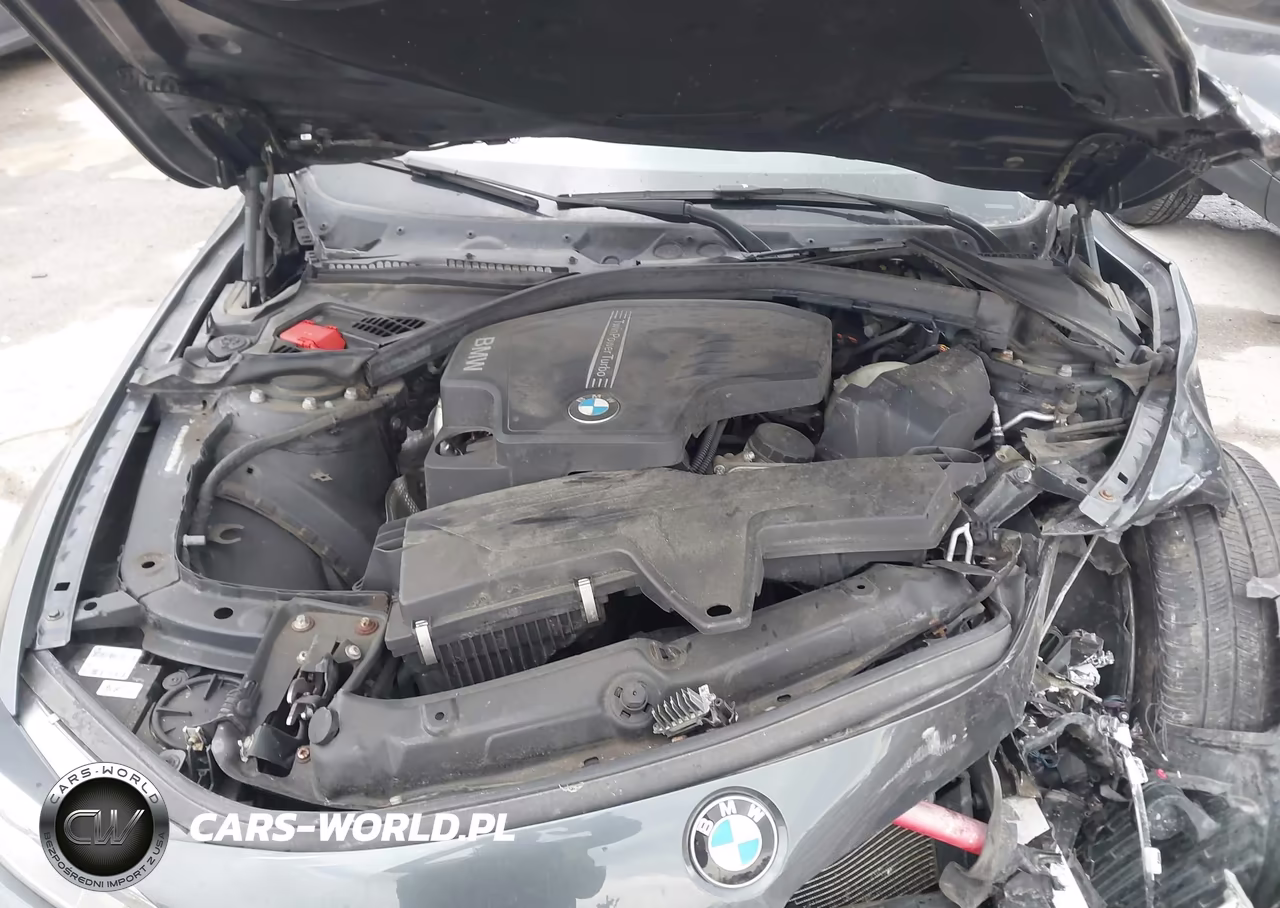 2016 BMW 428I Gran Coupe xDrive VIN:WBA4C9C57GG139254 - 10