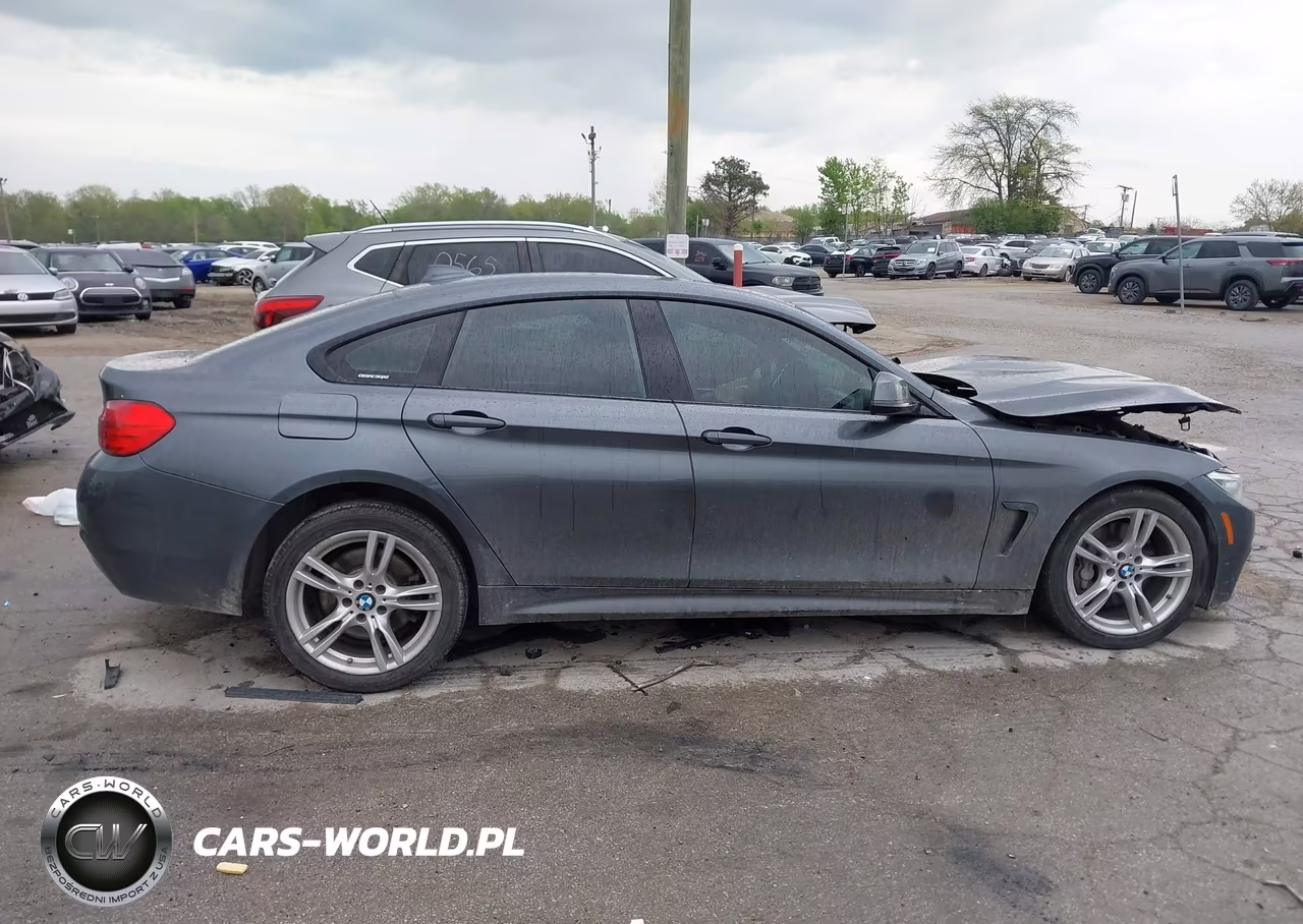 2016 BMW 428I Gran Coupe xDrive VIN:WBA4C9C57GG139254 - 13