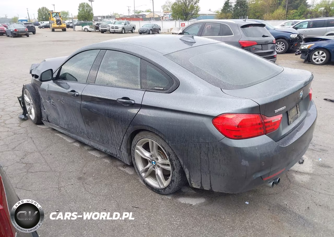 2016 BMW 428I Gran Coupe xDrive VIN:WBA4C9C57GG139254 - 3