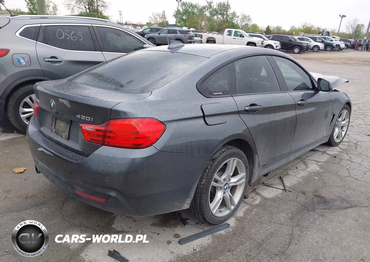 2016 BMW 428I Gran Coupe xDrive VIN:WBA4C9C57GG139254 - 4
