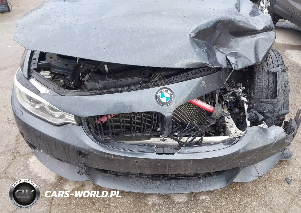 2016 BMW 428I Gran Coupe xDrive VIN:WBA4C9C57GG139254 - 6