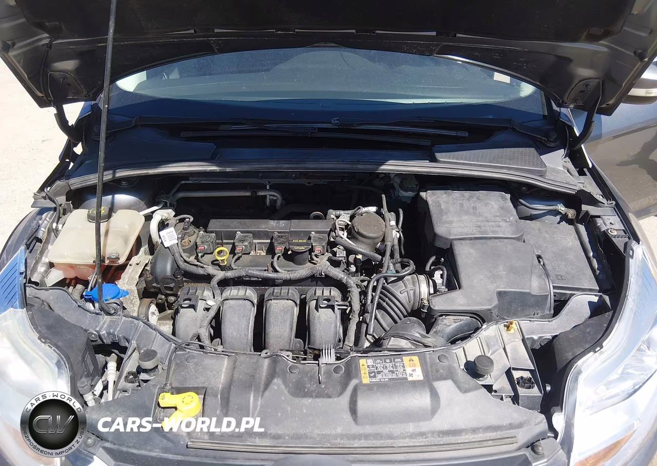 2014 Ford Focus Se VIN:1FADP3K21EL336216 - 10