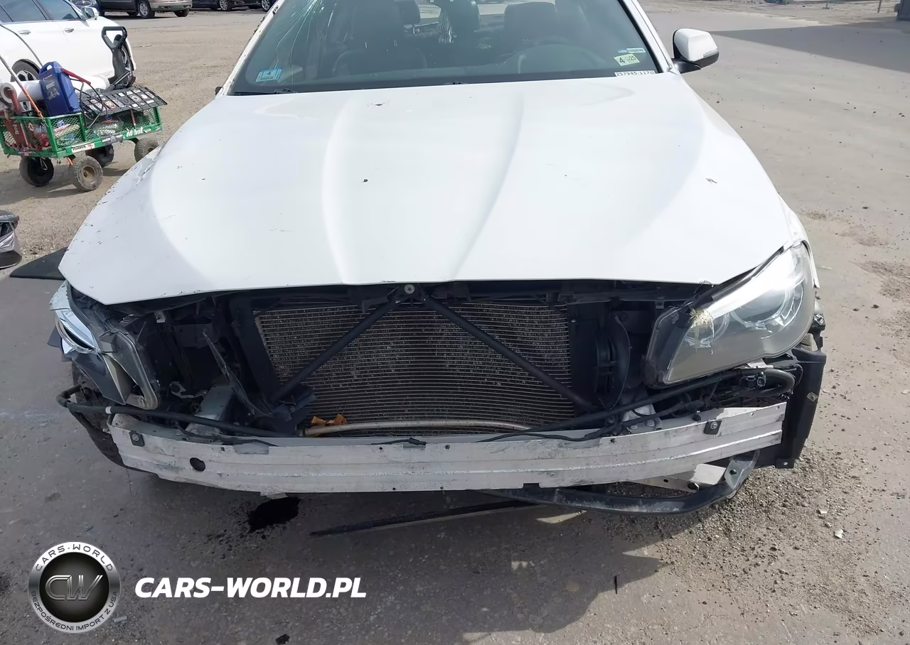 2016 BMW 535I xDrive VIN:WBA5B3C54GG257945 - 13