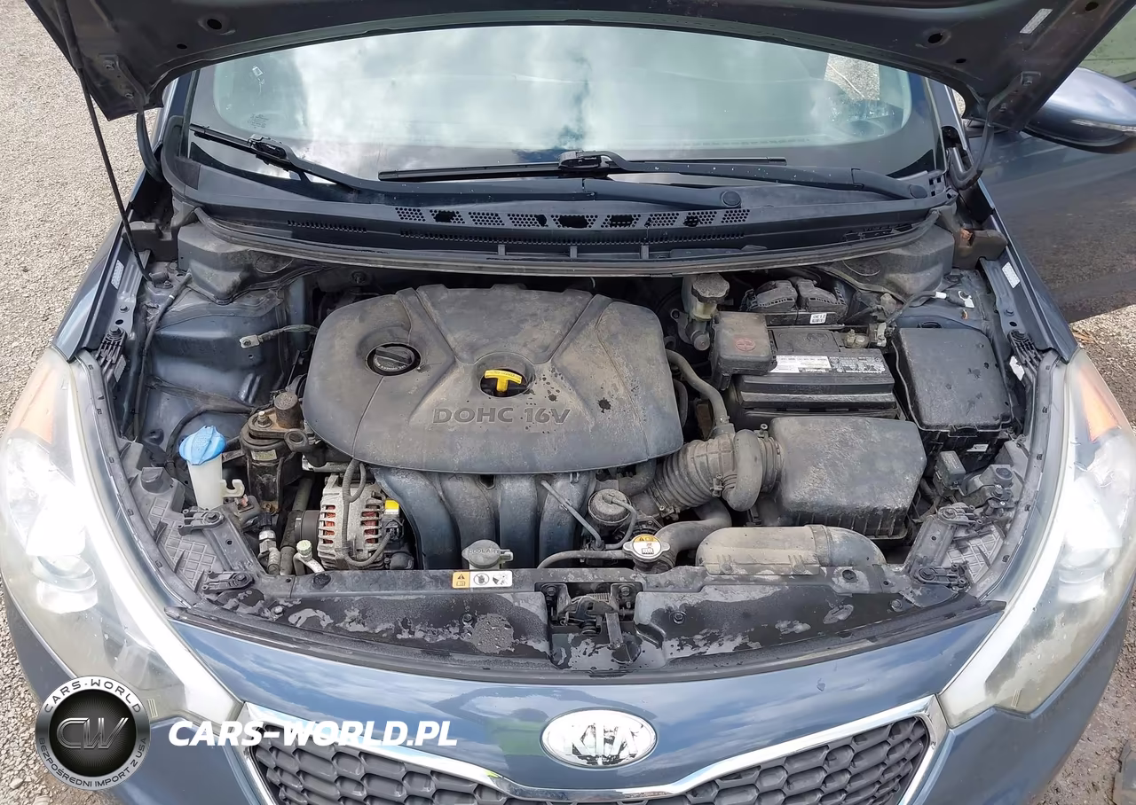 2014 Kia Forte Lx VIN:KNAFX4A64E5139894 - 10