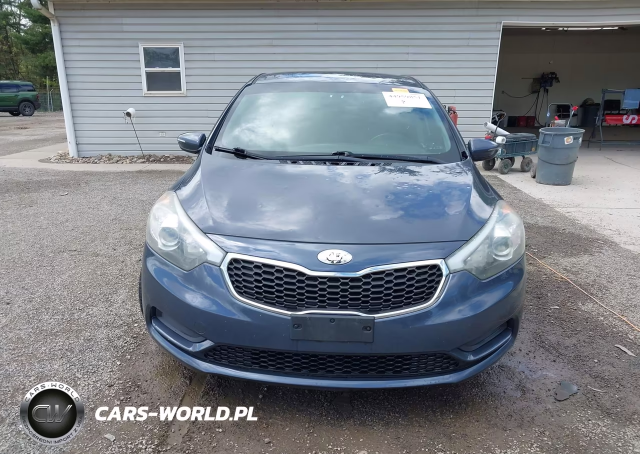 2014 Kia Forte Lx VIN:KNAFX4A64E5139894 - 12