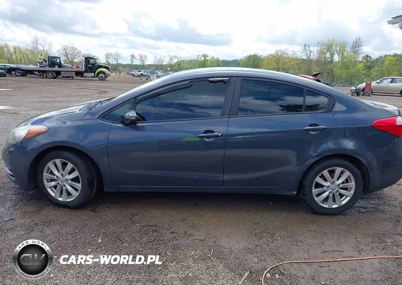 2014 Kia Forte Lx VIN:KNAFX4A64E5139894 - 14