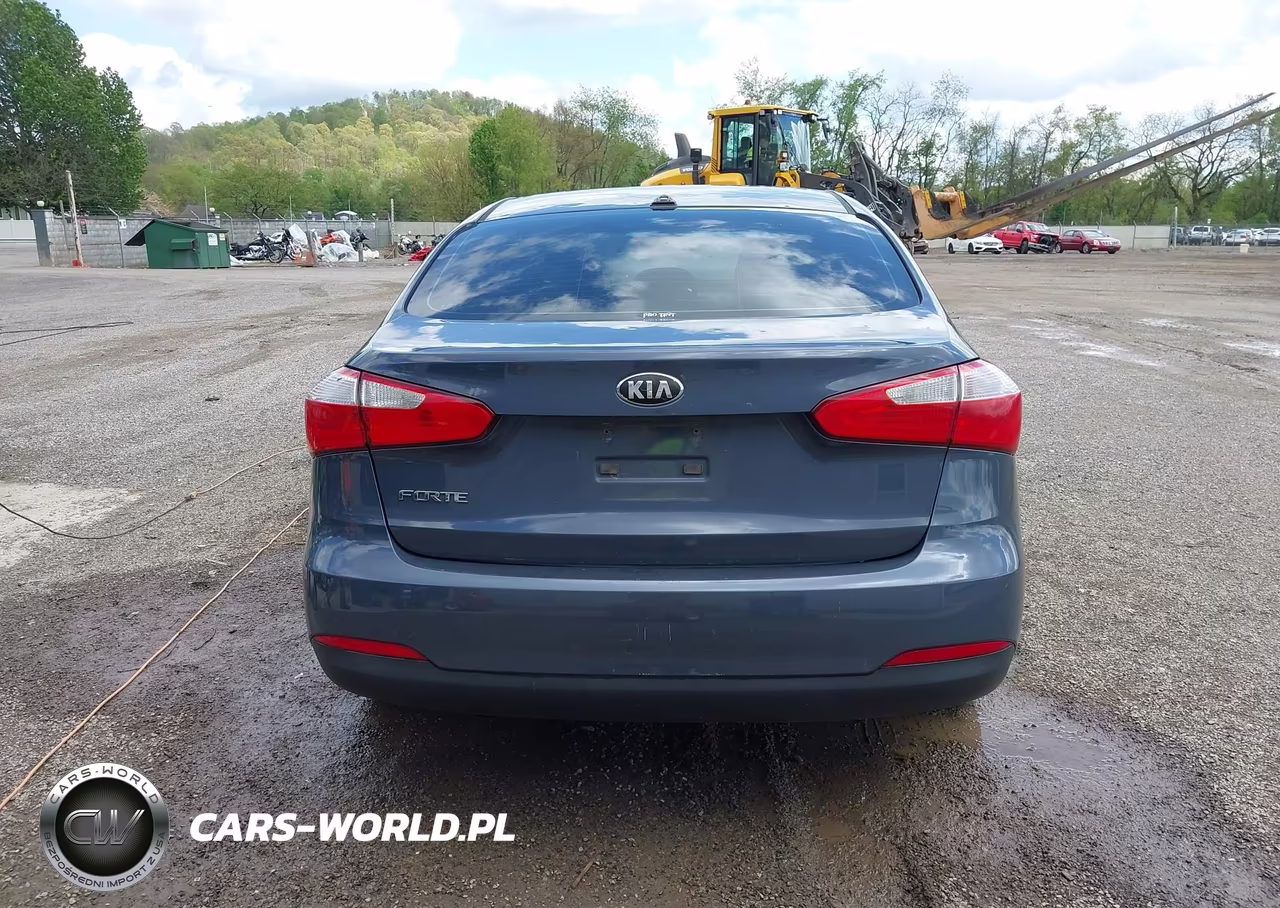 2014 Kia Forte Lx VIN:KNAFX4A64E5139894 - 16