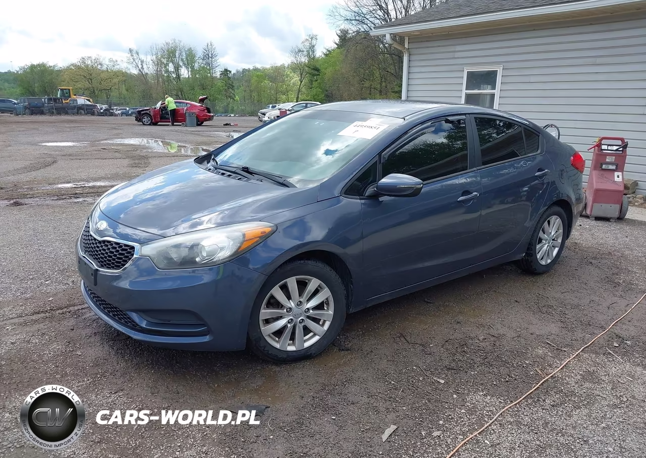 2014 Kia Forte Lx VIN:KNAFX4A64E5139894 - 2