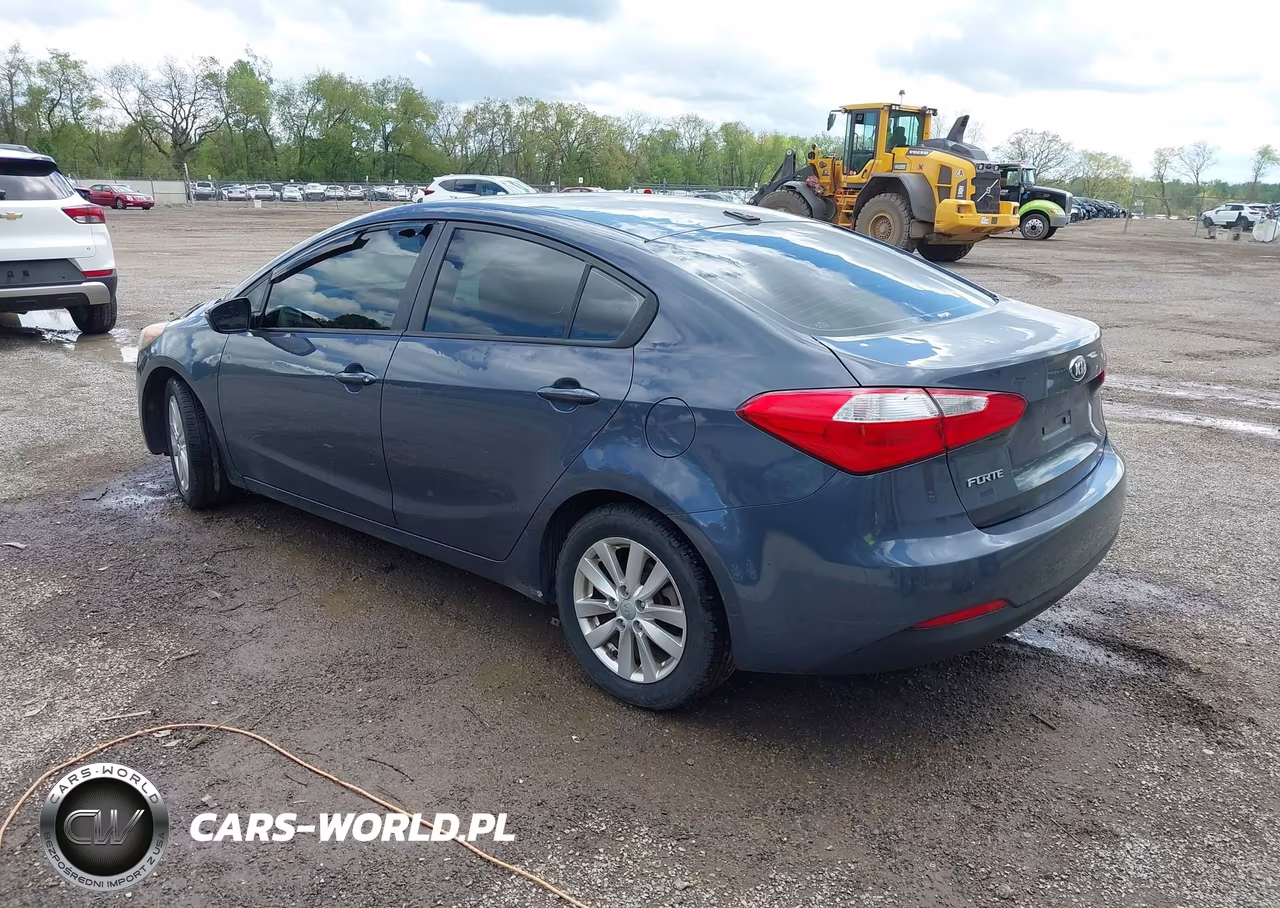2014 Kia Forte Lx VIN:KNAFX4A64E5139894 - 3