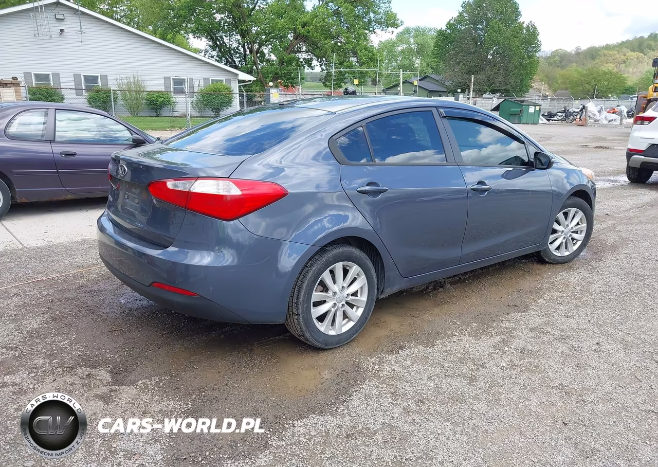 2014 Kia Forte Lx VIN:KNAFX4A64E5139894 - 4