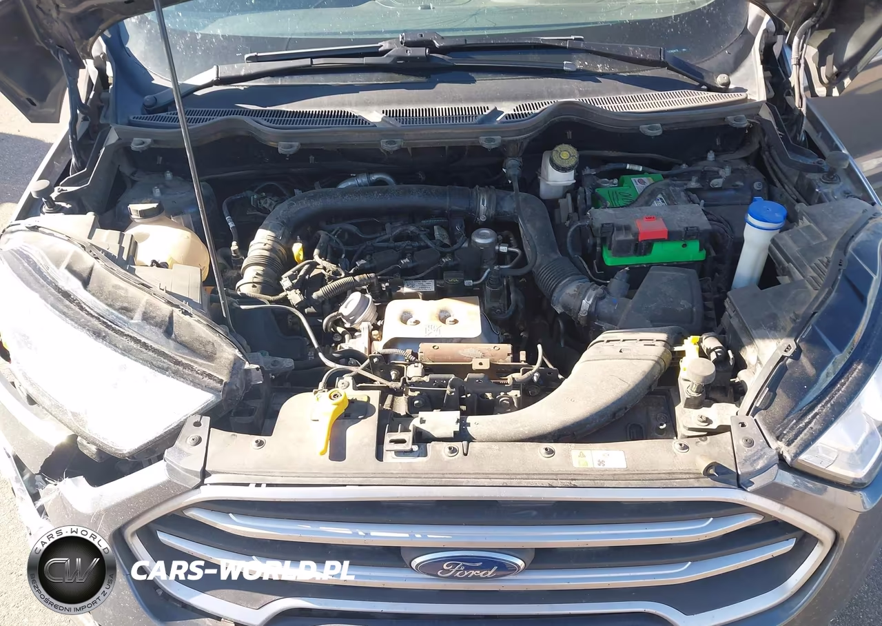 2020 Ford Ecosport Se VIN:MAJ3S2GE6LC383472 - 10