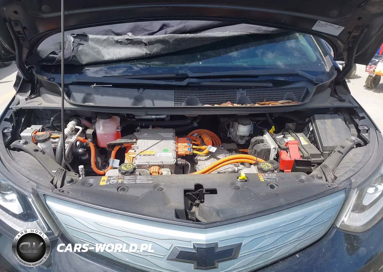 2017 Chevrolet Bolt Ev Lt VIN:1G1FW6S06H4185547 - 10