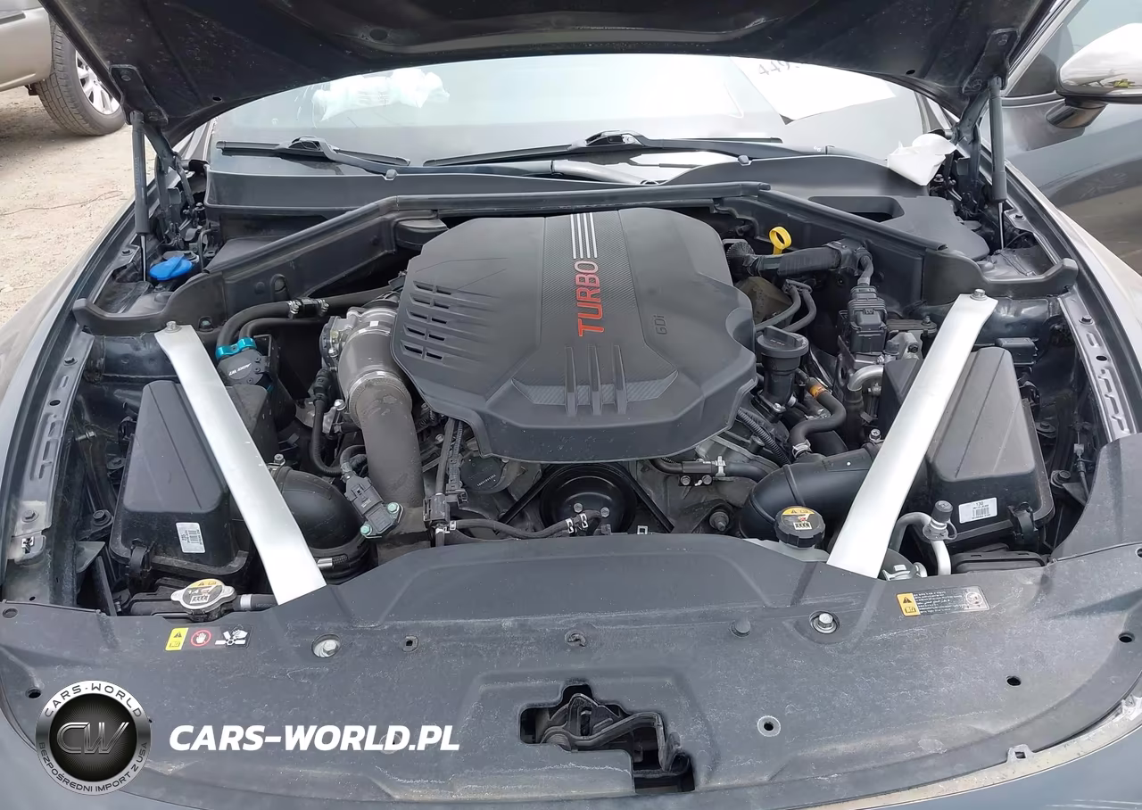 2019 Kia Stinger Gt1 VIN:KNAE45LC8K6064085 - 10