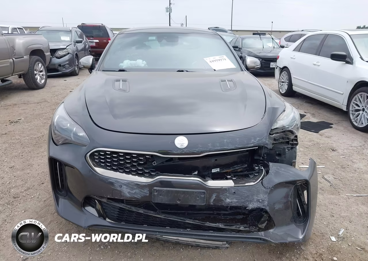 2019 Kia Stinger Gt1 VIN:KNAE45LC8K6064085 - 12