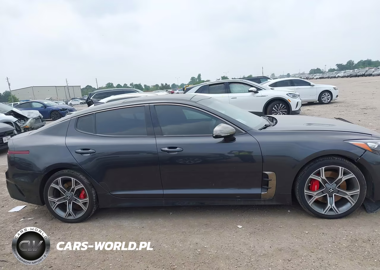 2019 Kia Stinger Gt1 VIN:KNAE45LC8K6064085 - 13