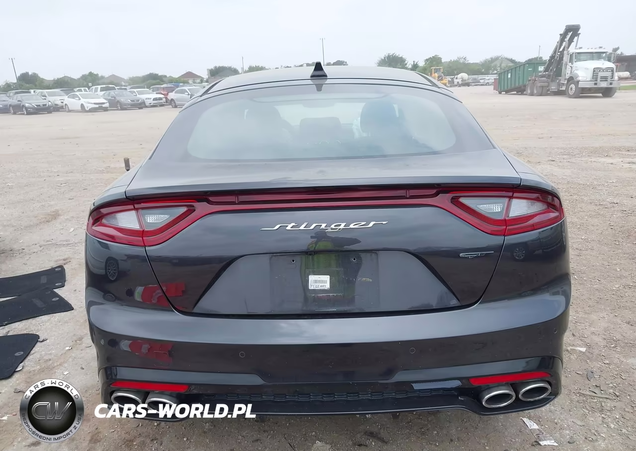 2019 Kia Stinger Gt1 VIN:KNAE45LC8K6064085 - 16