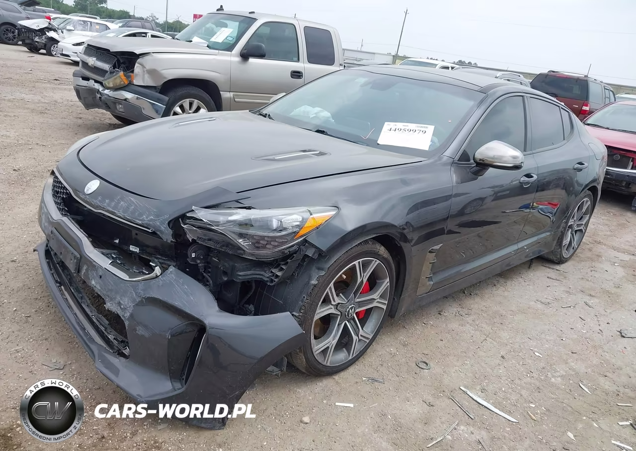 2019 Kia Stinger Gt1 VIN:KNAE45LC8K6064085 - 2