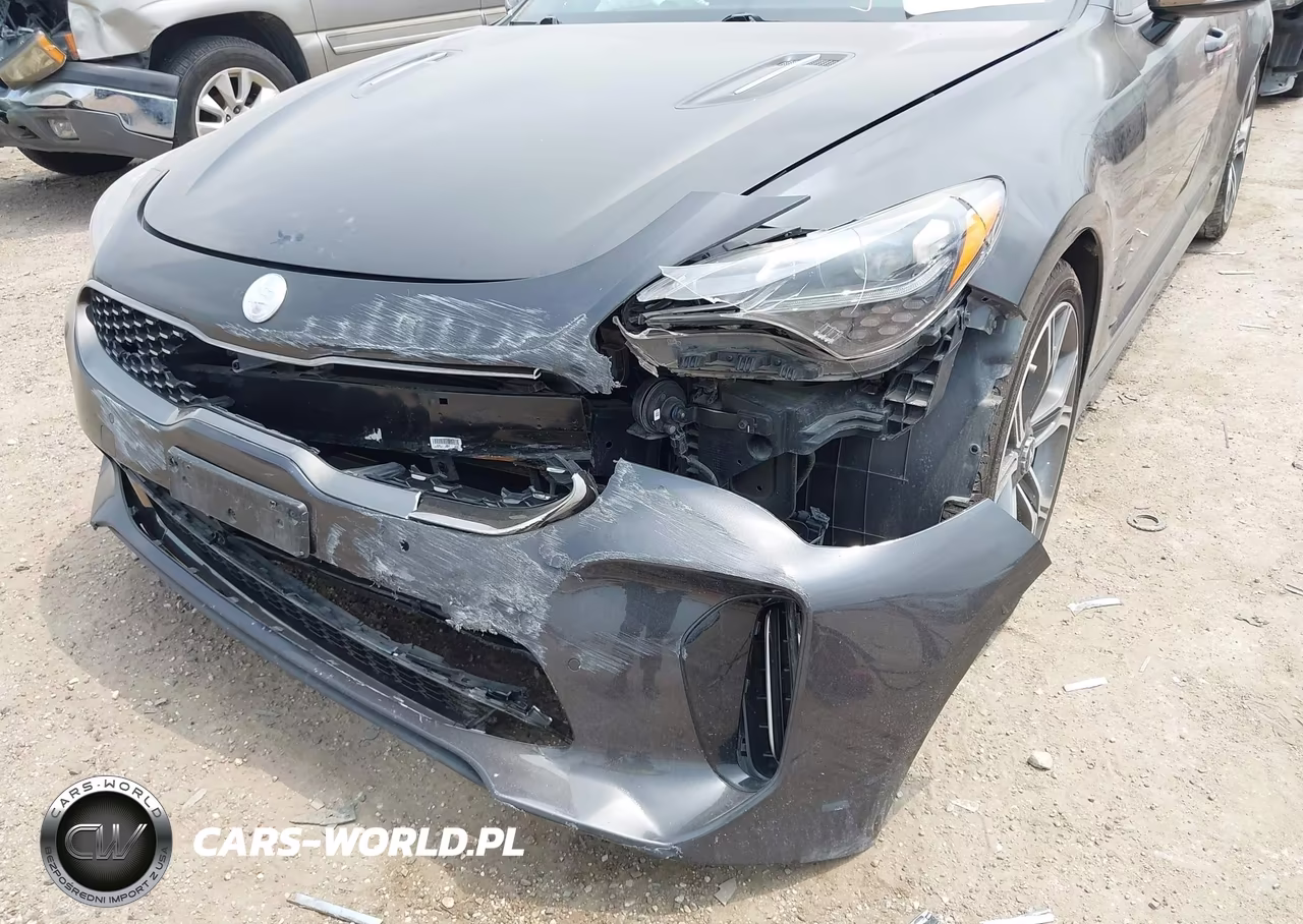 2019 Kia Stinger Gt1 VIN:KNAE45LC8K6064085 - 6