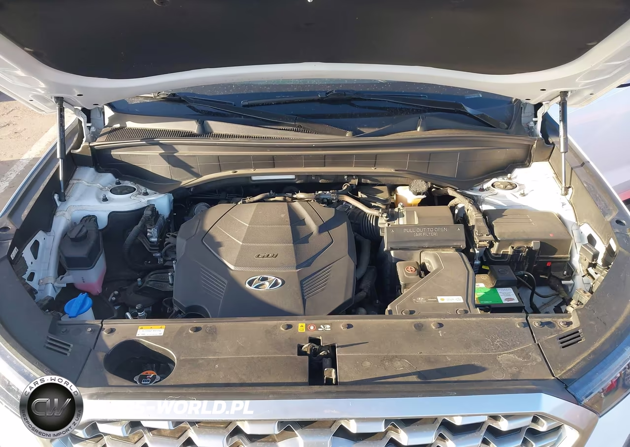 2021 Hyundai Palisade Se VIN:KM8R14HE0MU280931 - 10