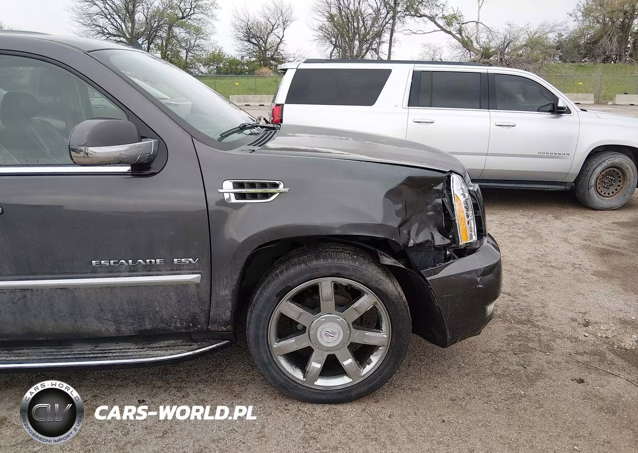 2011 Cadillac Escalade Esv Luxury VIN:1GYS4HEF1BR245245 - 19
