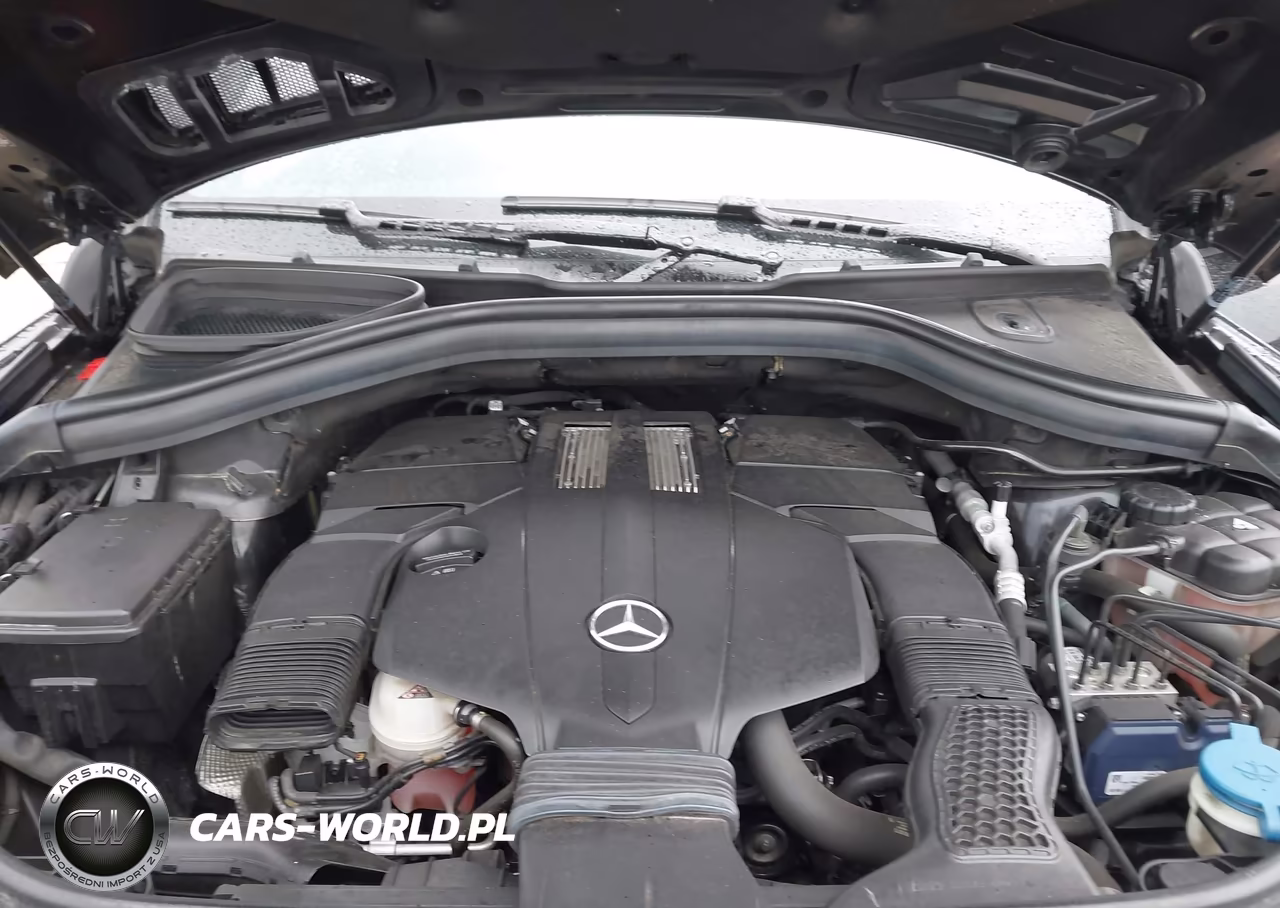 2017 Mercedes-Benz Gls 450 4Matic VIN:4JGDF6EE0HA924401 - 10