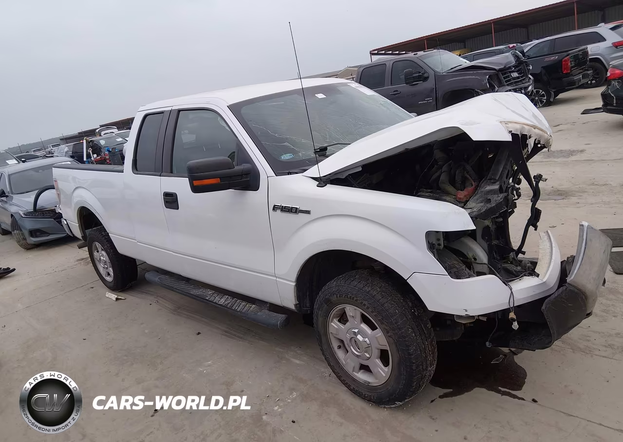 2010 Ford F-150 Xlt VIN:1FTEX1C89AKA21234 - 13