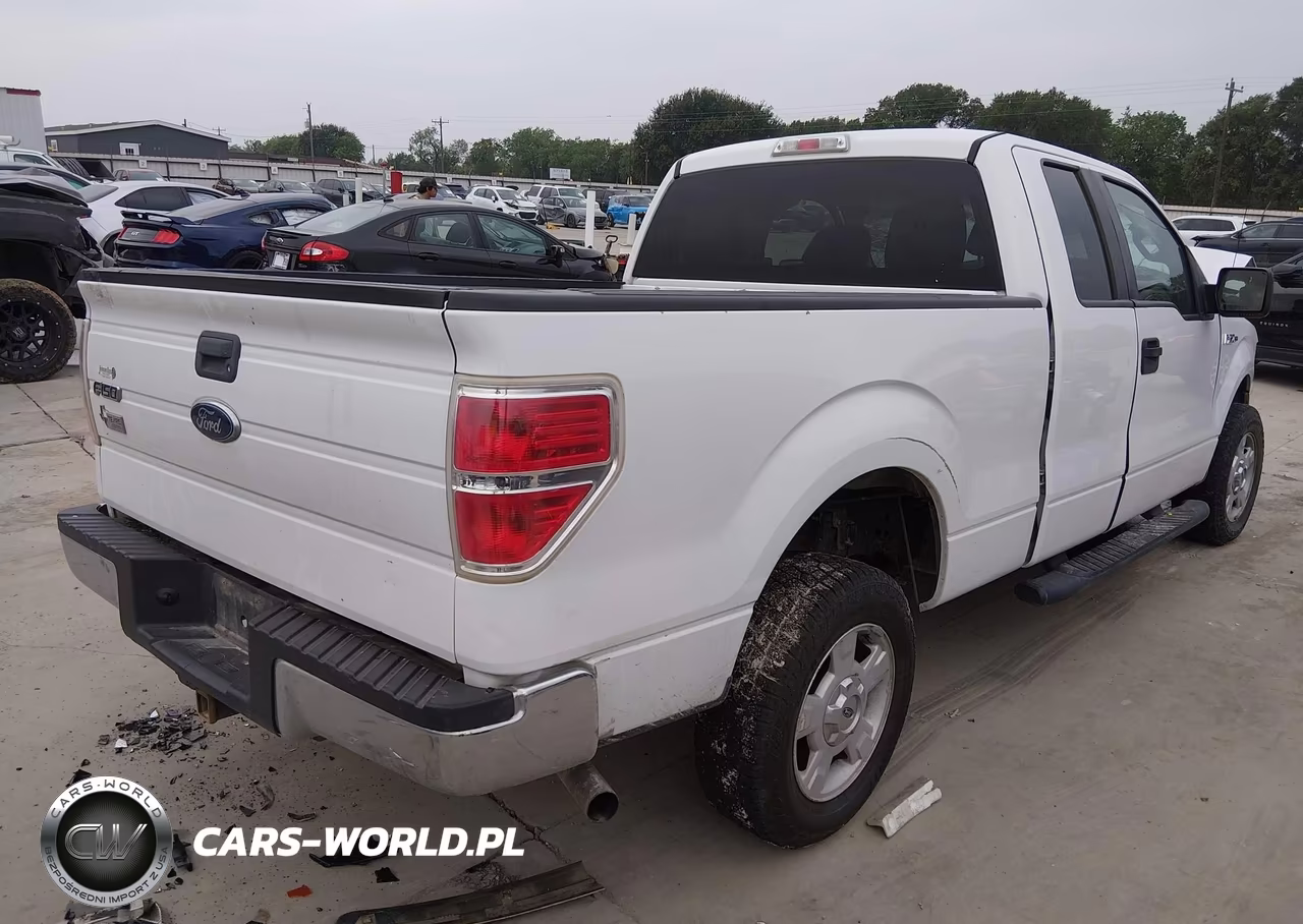 2010 Ford F-150 Xlt VIN:1FTEX1C89AKA21234 - 4