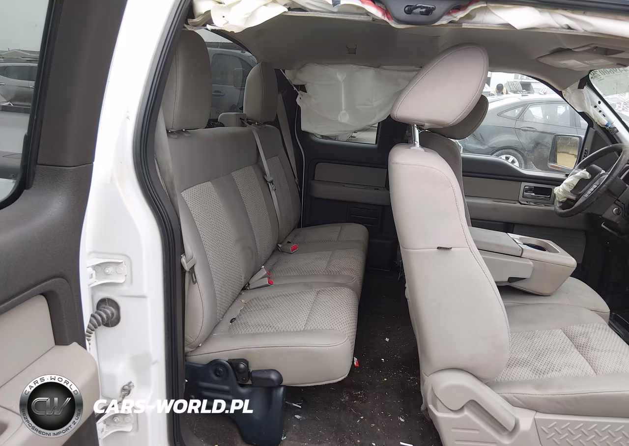 2010 Ford F-150 Xlt VIN:1FTEX1C89AKA21234 - 8