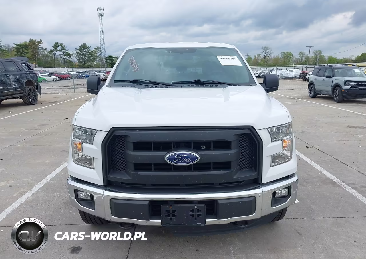 2016 Ford F-150 Xl VIN:1FTEX1EP0GFD38633 - 12
