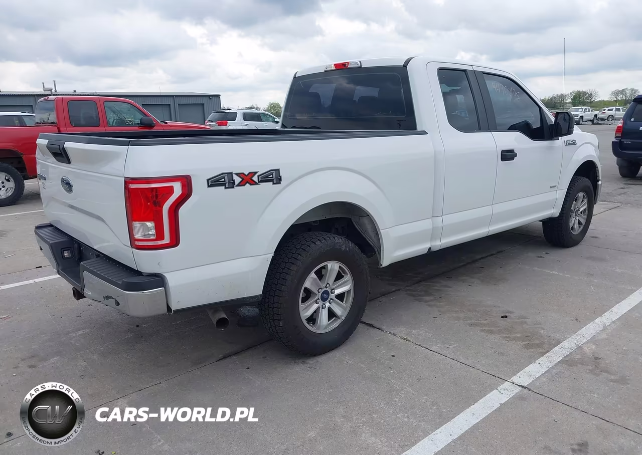 2016 Ford F-150 Xl VIN:1FTEX1EP0GFD38633 - 4