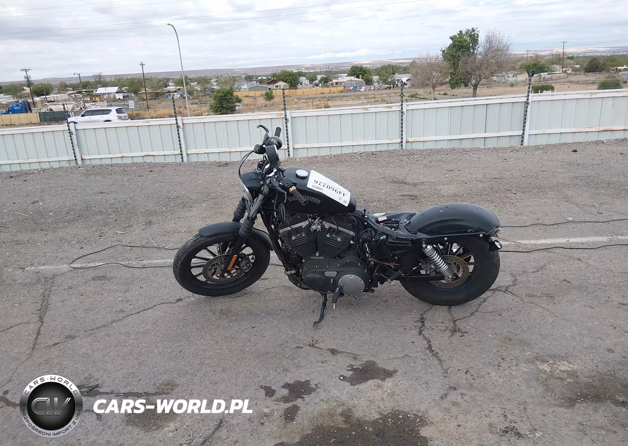 2015 Harley-Davidson Xl883 Iron 883 VIN:1HD4LE219FC435701 - 13