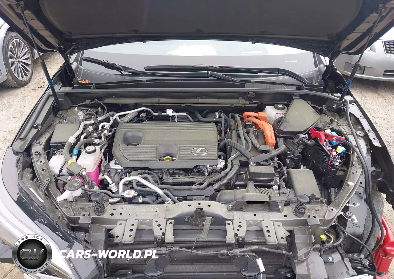 2025 Lexus Nx 450H+ F Sport Handling VIN:JTJKKCFZ7S2061084 - 10