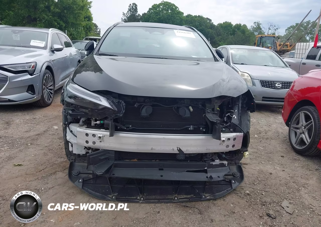 2025 Lexus Nx 450H+ F Sport Handling VIN:JTJKKCFZ7S2061084 - 12
