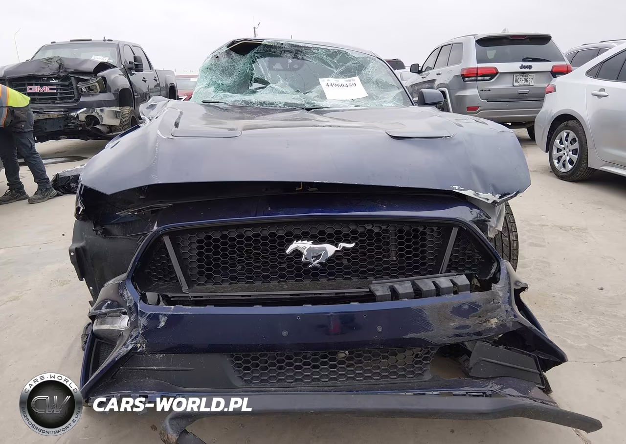 2020 Ford Mustang Gt Premium Fastback VIN:1FA6P8CF2L5167333 - 13