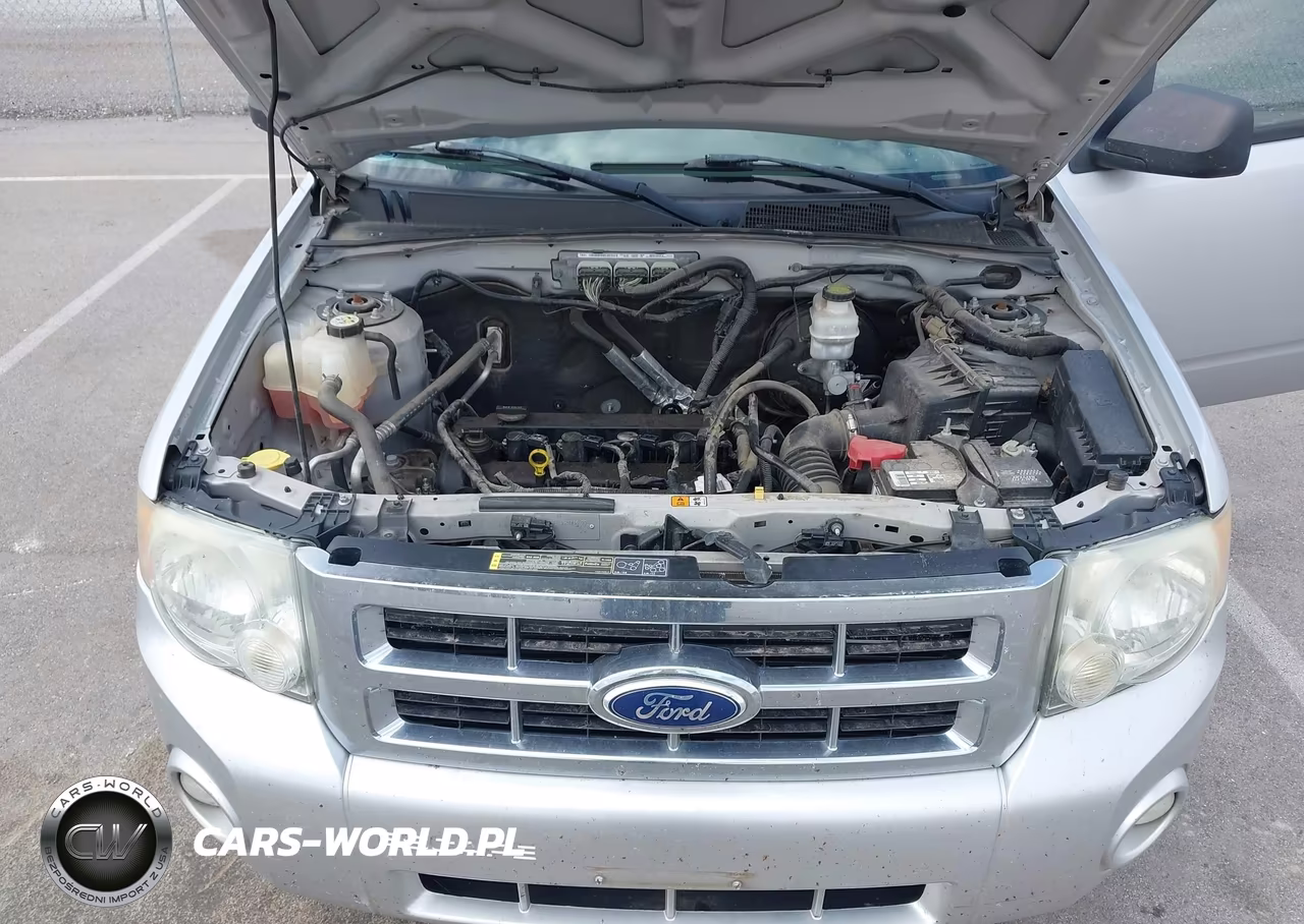 2011 Ford Escape Xlt VIN:1FMCU0D74BKB54271 - 10
