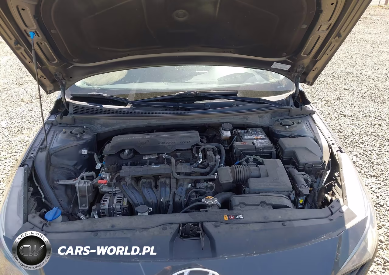 2021 Hyundai Elantra Sel VIN:5NPLM4AG2MH011482 - 10