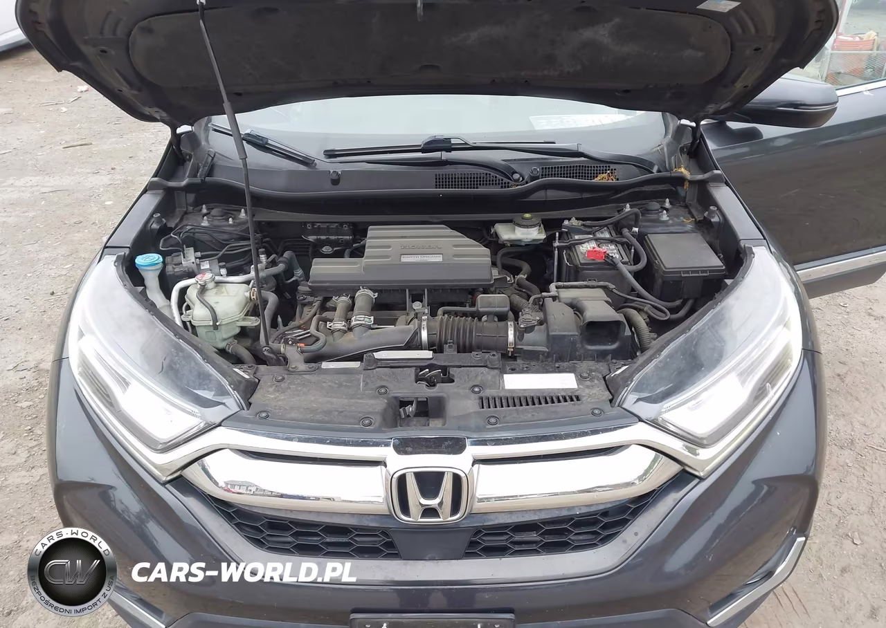 2019 Honda Cr-V Touring VIN:2HKRW2H9XKH625466 - 10