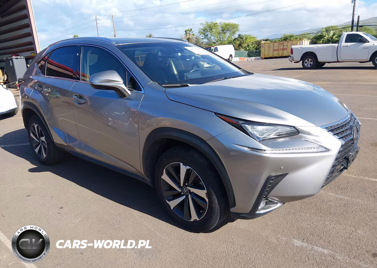 2019 Lexus Nx 300 F Sport