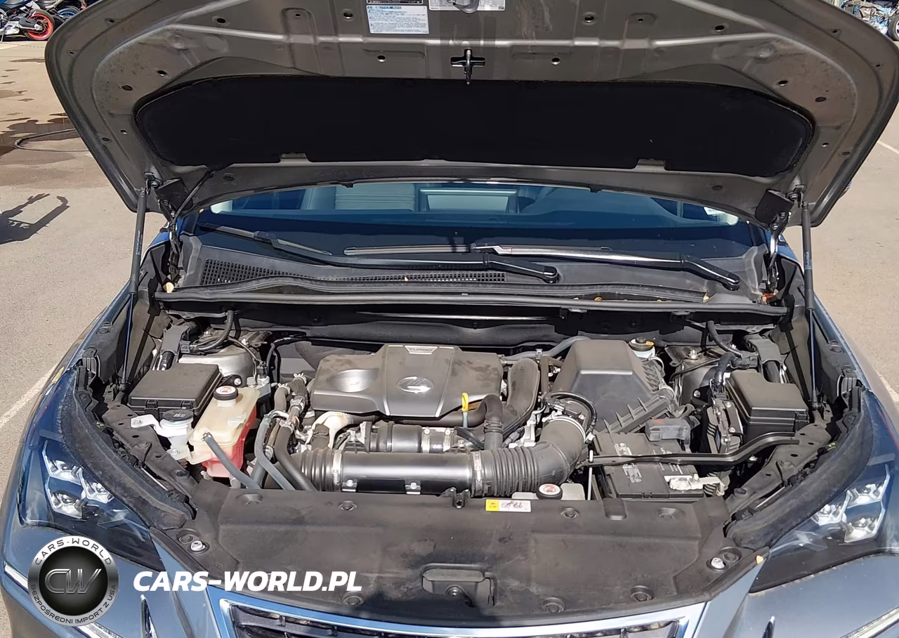 2019 Lexus Nx 300 F Sport VIN:JTJYARBZ9K2122845 - 10