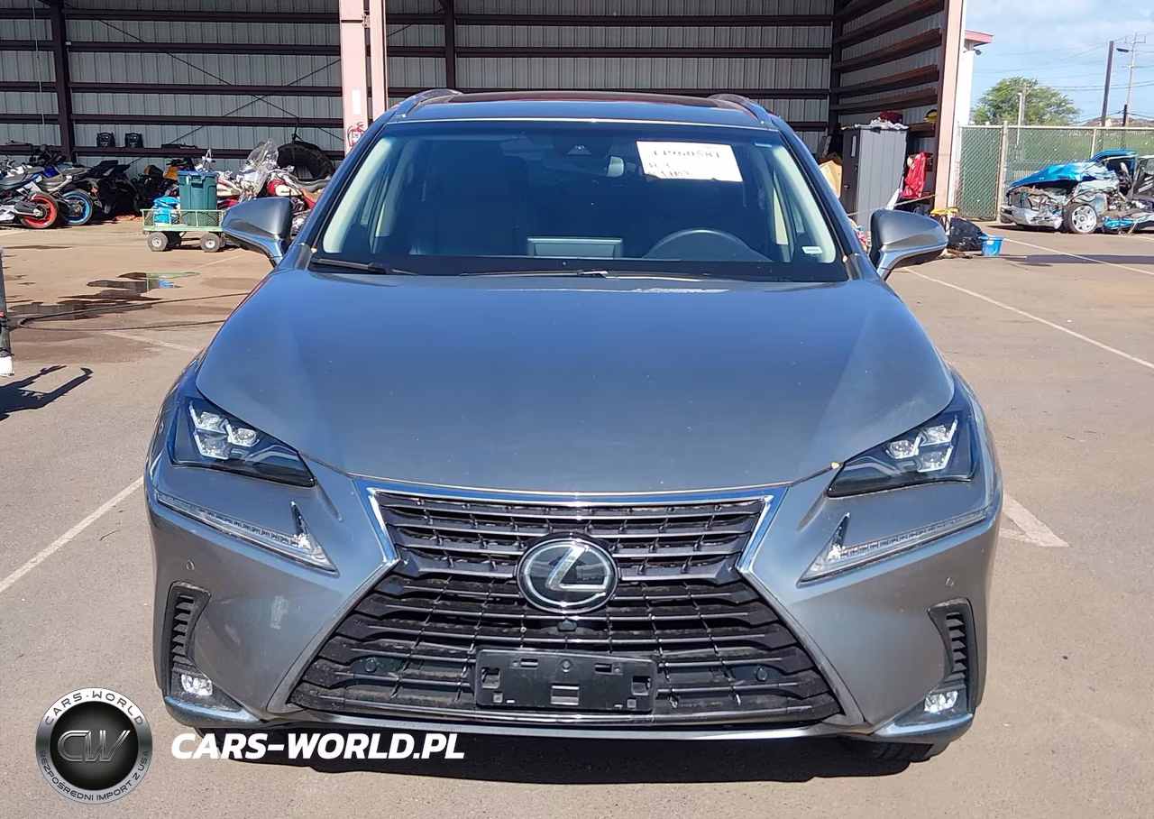 2019 Lexus Nx 300 F Sport VIN:JTJYARBZ9K2122845 - 12