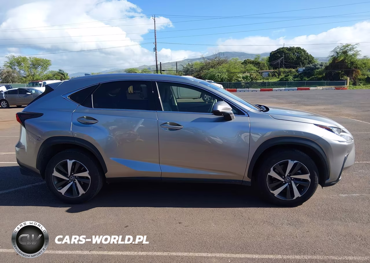 2019 Lexus Nx 300 F Sport VIN:JTJYARBZ9K2122845 - 13