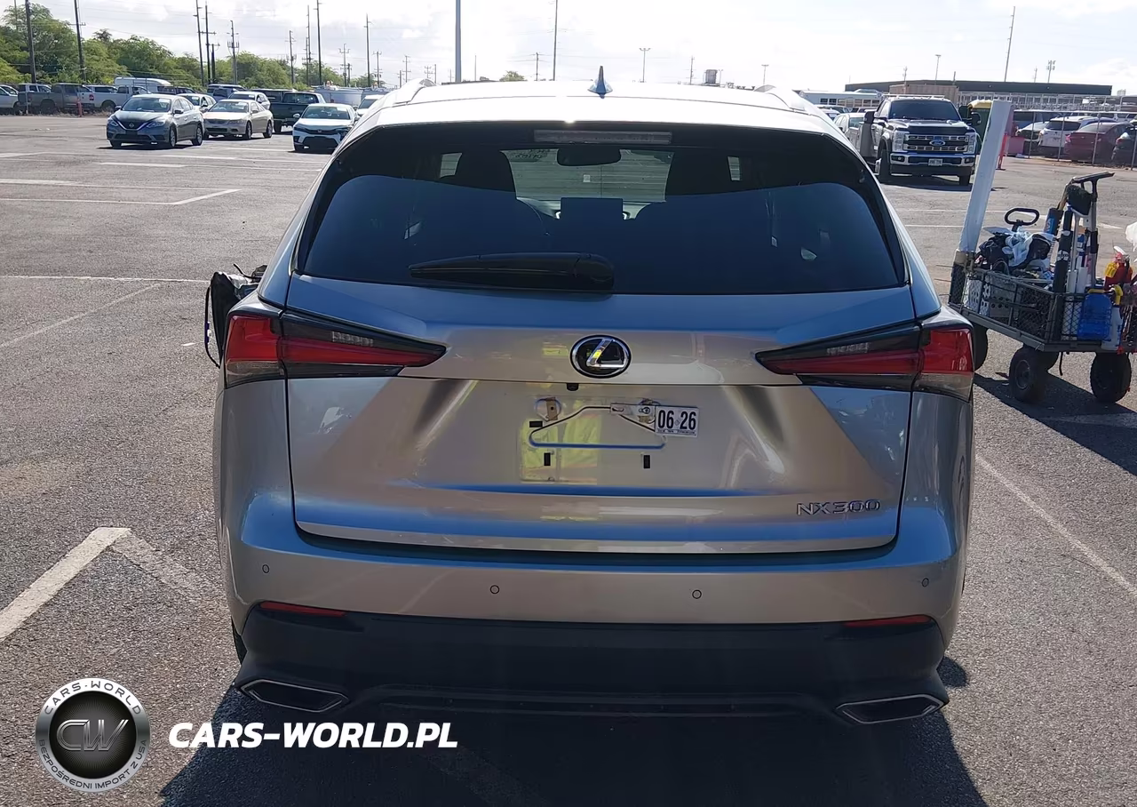 2019 Lexus Nx 300 F Sport VIN:JTJYARBZ9K2122845 - 16